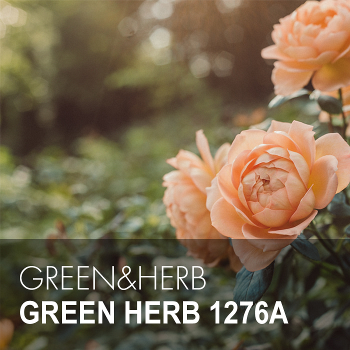 GREEN HERB / 그린허브 1276A
